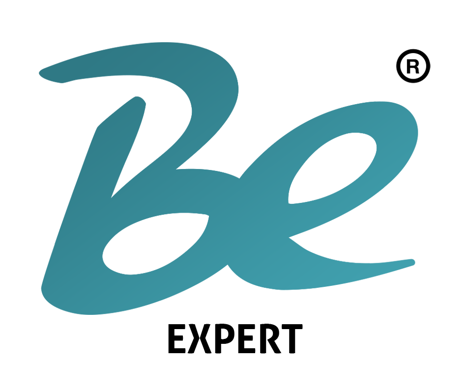 Vision Logo